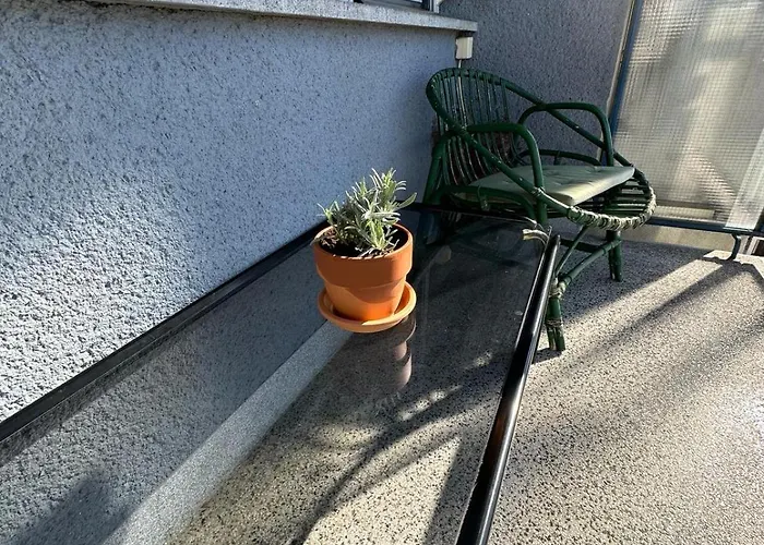 Center With A Castle View, Parking 公寓